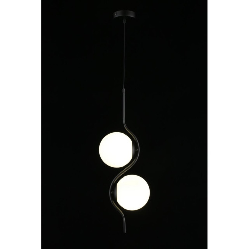 Светильник подвесной APL.312.06.02 фото 7