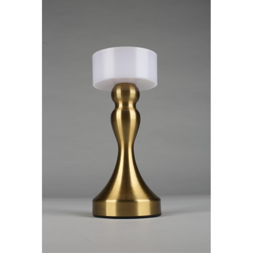 Настольная лампа OML-40304-01 фото 5