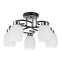 Потолочная люстра Arte Lamp KRIT A4505PL-5BK