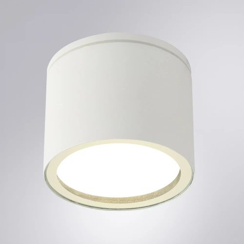 Уличный потолочный светильник Arte Lamp PIAUTOS A1913PF-1WH фото 2