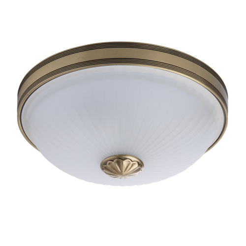 Потолочный светильник MW-Light Ангел 295013402 Потолочный светильник MW-Light Ангел 295013402