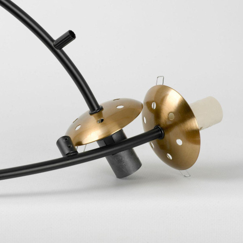 Подвесная люстра Lussole LSP-8892 фото 4