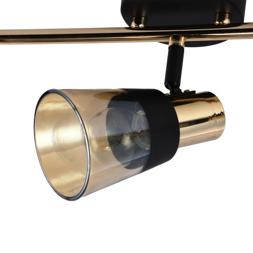 Настенно-потолочный свет Escada 684/3P E14*40W Black/Gold фото 2