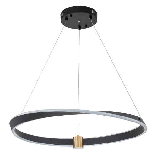 Подвесной светильник 14014/B/1P Black фото 2