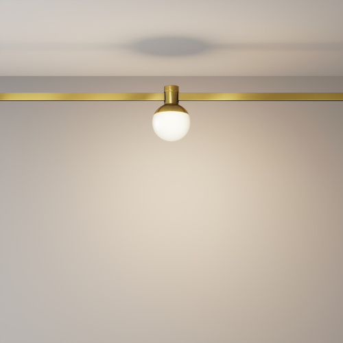 Трековый светильник Technical TR149-1-5W3K-BS фото 7 Трековый светильник Technical TR149-1-5W3K-BS фото 7