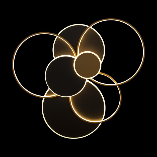 10163 Black Потолочный светильник LOFT IT Megan фото 2 10163 Black Потолочный светильник LOFT IT Megan фото 2