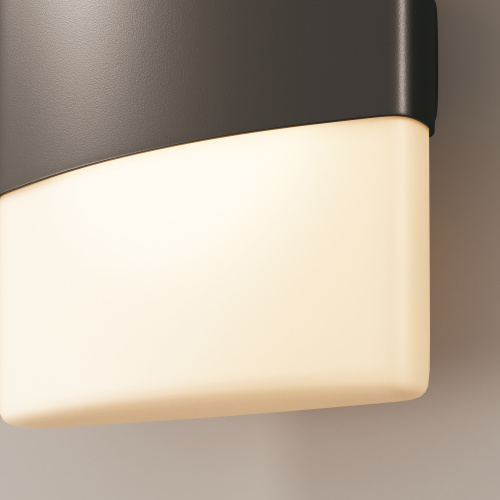 Уличный настенный светильник Outdoor O442WL-L12GF3K фото 5