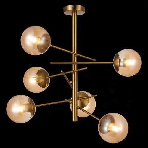 Подвесная люстра Evoluce Velio SLE1099-312-06 фото 2