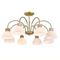 Светильник на штанге 150005/8R E27*60W Gold/Wood