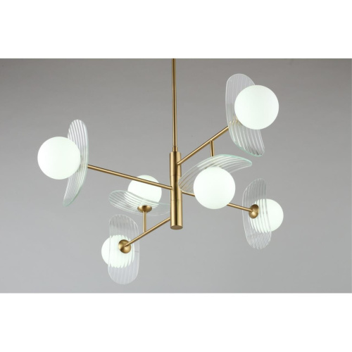 Люстра потолочная OML-51117-06 фото 7