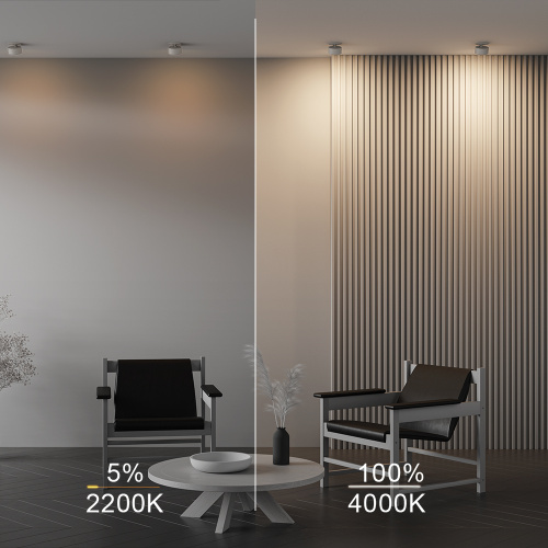 Встраиваемый светильник Technical DL024-12W-DTW-W фото 6