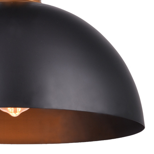 Подвесной светильник Arte Lamp EURICA A4249SP-1BK фото 2 Подвесной светильник Arte Lamp EURICA A4249SP-1BK фото 2