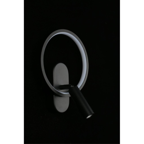 Светильник настенный (Бра) APL.346.01.02 фото 10