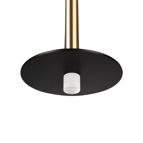 10358/830 Disk AB Подвесной светильник LOFT IT Reed фото 3