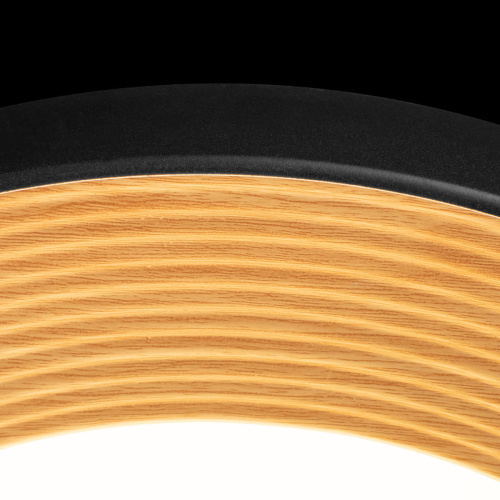 10255/500 Black Потолочный светильник LOFT IT Folk фото 6