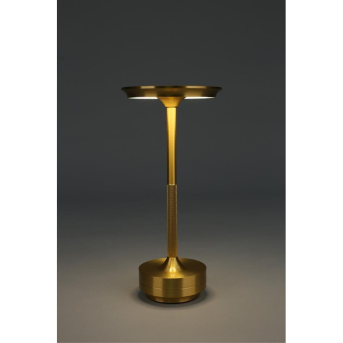 Настольная лампа OML-40414-01 фото 5