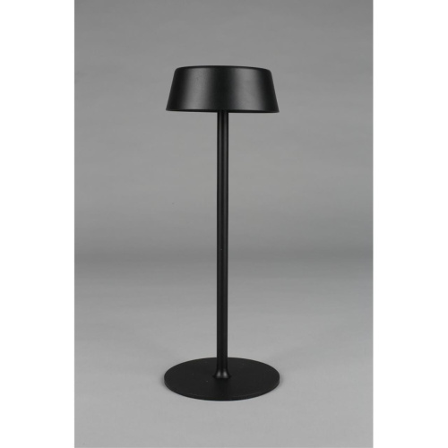 Настольная лампа OML-40504-01 фото 4