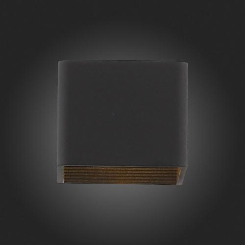 SL455.041.01 Светильник настенный ST-Luce Черный/Черный LED 1*6W 3000K Настенные светильники фото 3