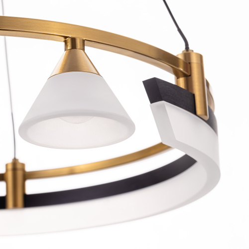 Citilux HELLY CL211042 Подвесная светодиодная люстра фото 8 Citilux HELLY CL211042 Подвесная светодиодная люстра фото 8