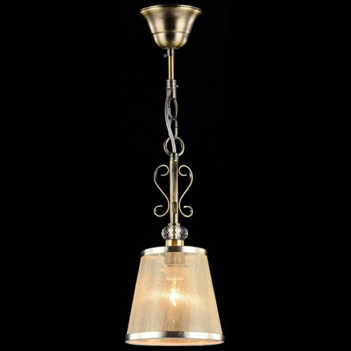 Подвесной светильник Freya Driana FR2405-PL-01-BZ фото 5