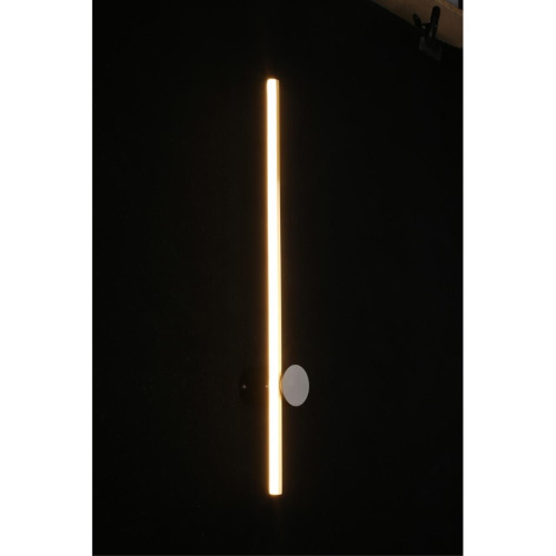 Светильник настенный (Бра) APL.056.01.09 фото 4