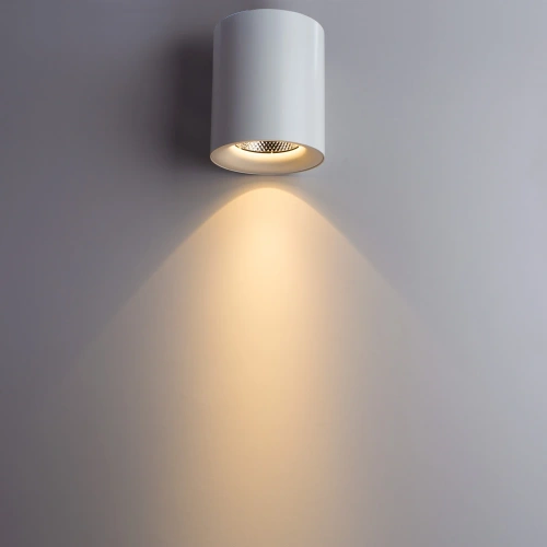 Точечный накладной светильник Arte Lamp FACILE A5130PL-1WH фото 3 Точечный накладной светильник Arte Lamp FACILE A5130PL-1WH фото 3