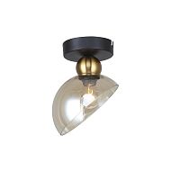 Потолочный светильник Escada 2109/1P E14*40W Black/Brass