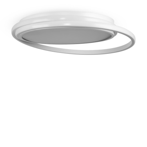 Потолочный светильник Freya FR10032CL-L98W фото 10