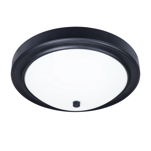Потолочный светильник Arte Lamp JAMES A4049PL-3BK Потолочный светильник Arte Lamp JAMES A4049PL-3BK