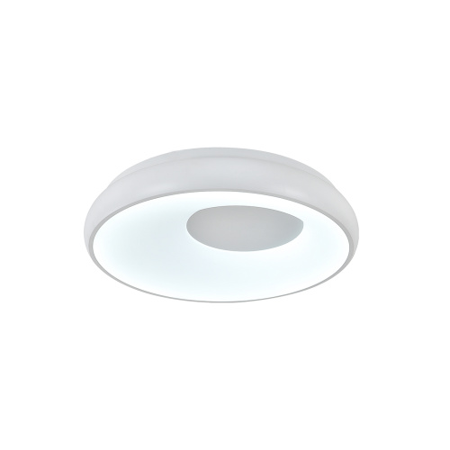 Потолочный светильник 14016/1С White фото 4