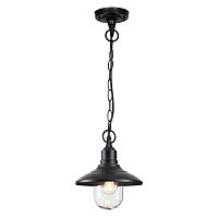 4965/1 NATURE ODL22 713 черный/стекло Ландшафтный подвес E27 1*60W IP44 CAMPA