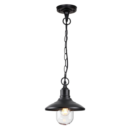 4965/1 NATURE ODL22 713 черный/стекло Ландшафтный подвес E27 1*60W IP44 CAMPA 4965/1 NATURE ODL22 713 черный/стекло Ландшафтный подвес E27 1*60W IP44 CAMPA