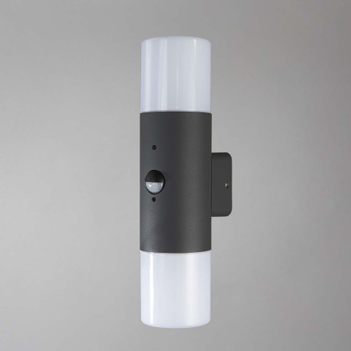 Уличный светильник Escada 534/2A E27*60W Dark grey фото 2