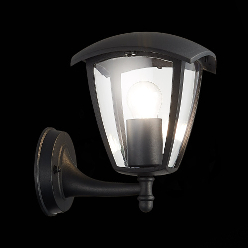 SL081.401.01 Светильник уличный настенный ST-Luce Черный/Черный, Прозрачный E27 1*40W SIVINO фото 4
