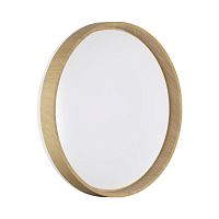 Настенно-потолочный светильник Sonex BASICA 7684/ELN