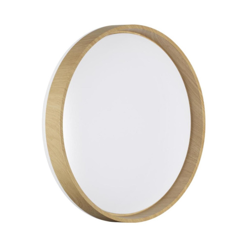 Настенно-потолочный светильник Sonex BASICA 7684/ELN