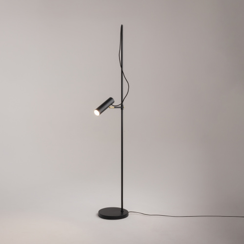 Напольный светильник (торшер) Maytoni MOD129FL-01B фото 14