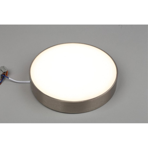 Светильник настенно-потолочный APL.0114.19.24 фото 4