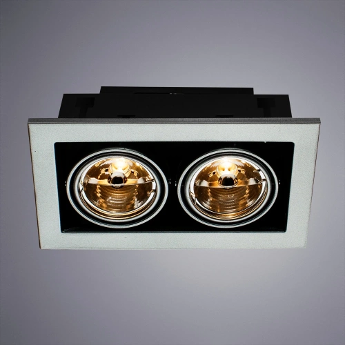 Карданный светильник Arte Lamp CARDANI MEDIO A5930PL-2SI фото 2 Карданный светильник Arte Lamp CARDANI MEDIO A5930PL-2SI фото 2