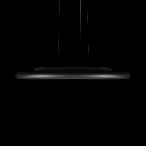 10454/500P Black Подвесной светильник LOFT IT Sweety фото 5 10454/500P Black Подвесной светильник LOFT IT Sweety фото 5