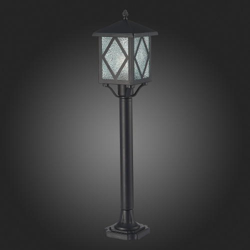 SL084.415.01 Светильник уличный наземный ST-Luce Черный/Черный, Прозрачный E27 1*60W LORNE фото 6