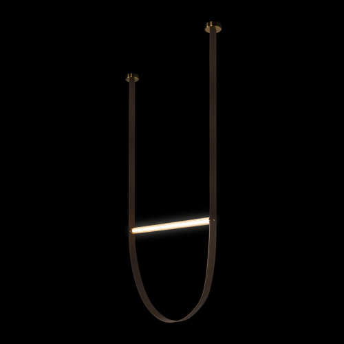 10221/1700 Подвесной светильник LOFT IT Liana фото 2