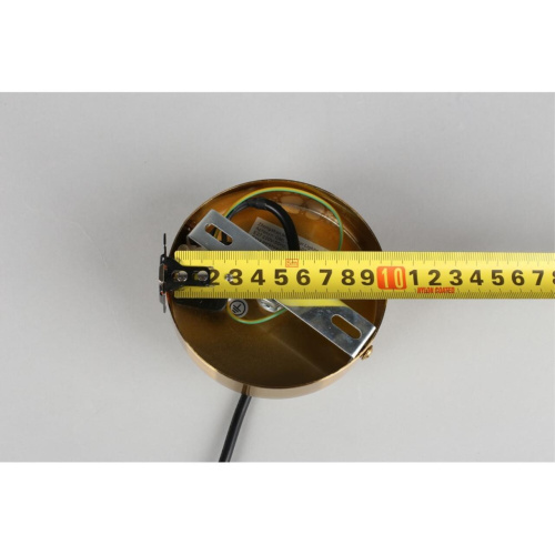 Светильник подвесной OML-99306-01 фото 2 Светильник подвесной OML-99306-01 фото 2