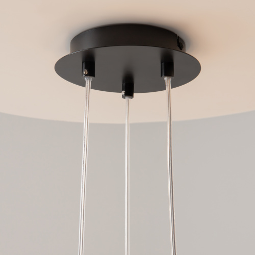 Подвесной светильник Maytoni MOD031PL-12B фото 10