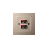 Аудиорозетка двойная Liregus Epsilon шампань 28-3241