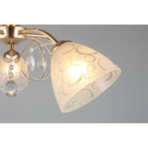 Люстра потолочная OML-29007-05 фото 2 Люстра потолочная OML-29007-05 фото 2