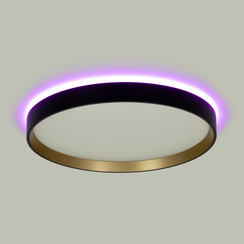 Citilux ETALON CL750321R LED RGB Светильник с пультом Чёрный+Золото фото 5 Citilux ETALON CL750321R LED RGB Светильник с пультом Чёрный+Золото фото 5