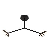 Потолочная светодиодная люстра Favourite Paritet 4401-2C