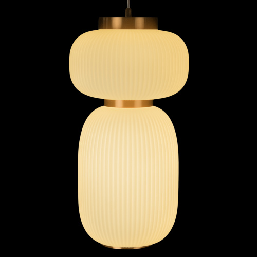 10422/B Подвесной светильник LOFT IT Duff фото 7 10422/B Подвесной светильник LOFT IT Duff фото 7