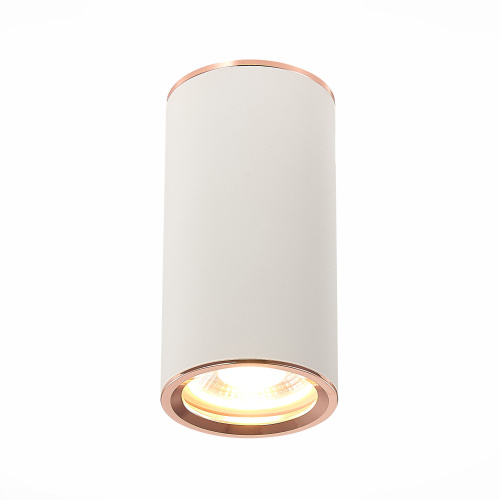 ST111.527.01 Светильник потолочный Белый GU10 1*50W D54xH105 220V Без ламп Накладные светильники фото 5